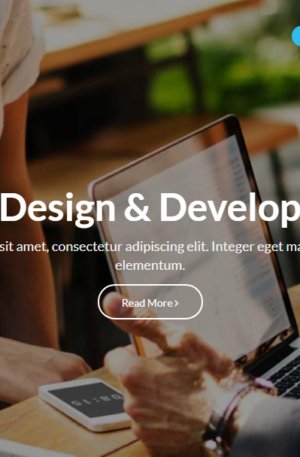 Web Development WordPress Theme